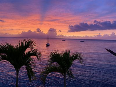 Sunset over the water, a sailboat at anchor and two palms in silhouette