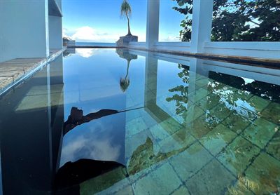 The cocktail pool mirror-still, reflecting a palm and the white columns above it