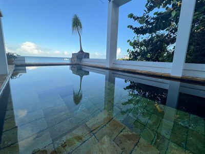 Cocktail pool with stone tiling running to the edge, the sea and a single palm beyond