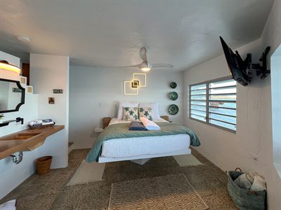 Bedroom with a queen bed under a ceiling fan, a floating timber vanity and decorative wall plates