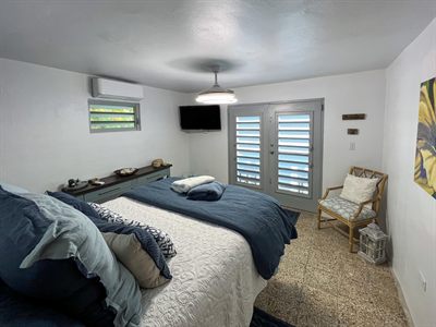 Bedroom with navy bedding, louvered French doors, a rattan armchair and botanical artwork