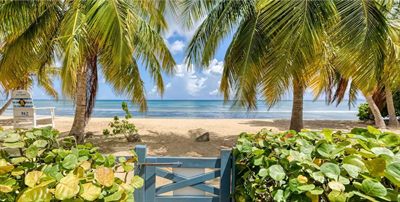 A blue wooden garden gate in a sea-grape hedge opening onto white sand, palms and calm turquoise water