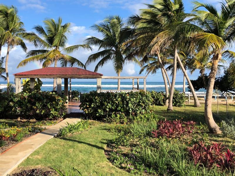 The red-roofed beachfront gazebo framed by palms, with a garden path leading to it