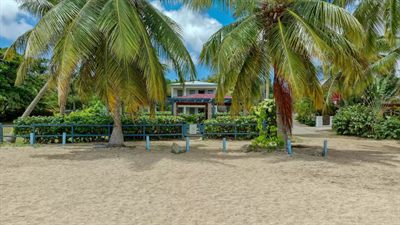 The two-story casitas seen from the beach, framed by two tall palms above a blue fence and sea-grape hedge